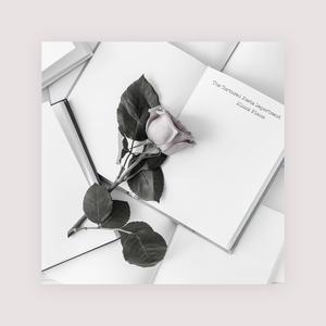 色色婷婷久久久
